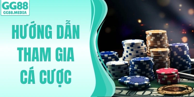 hướng dẫn tham gia cá cược
