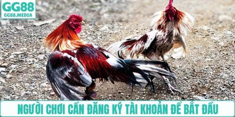 Người chơi cần đăng ký tài khoản để bắt đầu