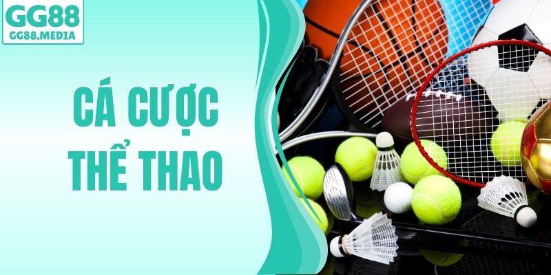 Cá Cược Thể Thao - Các Loại Cược Phổ Biến Và Mẹo Soi Kèo