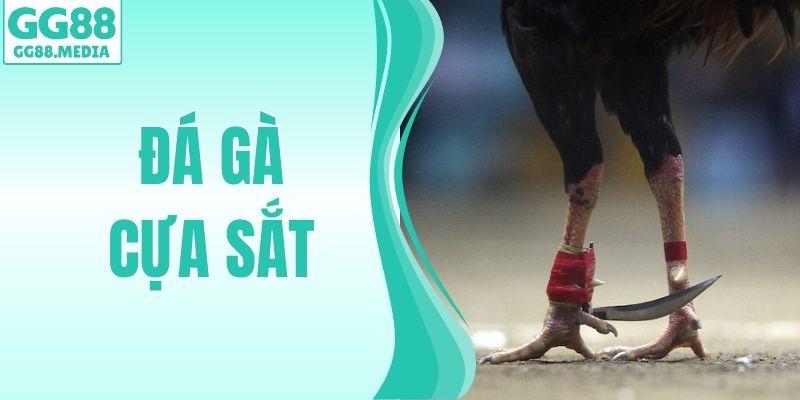 Đá Gà Cựa Sắt – Đấu Trường Rực Lửa, Thắng Thưởng Siêu Tốc