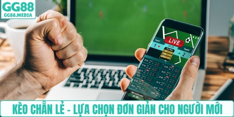 Kèo chẵn lẻ - Lựa chọn đơn giản cho người mới