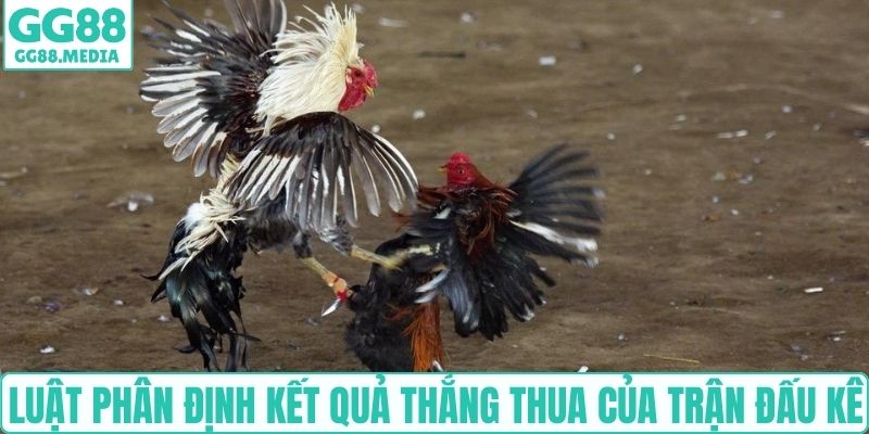 Luật phân định kết quả thắng thua của trận đấu kê