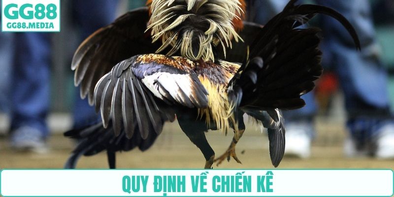 Quy định về chiến kê