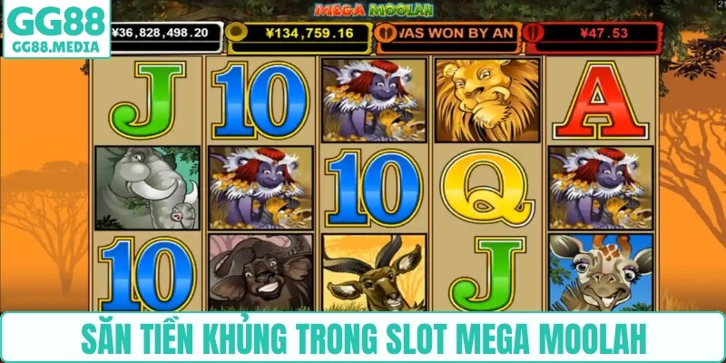 Săn tiền khủng trong slot mega moolah